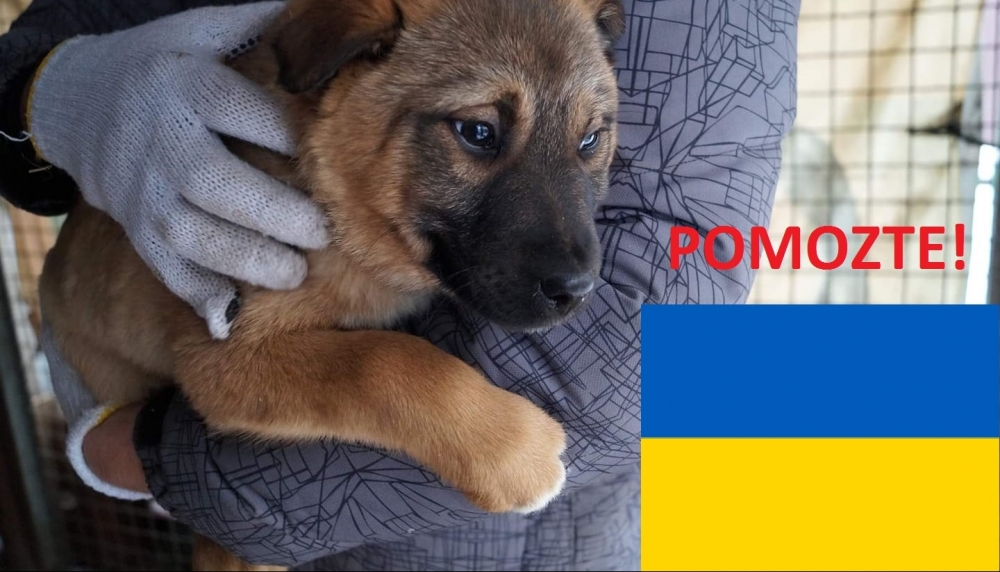 Pomozte zvířatům na Ukrajině!